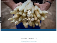 navarrico.com