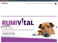 ruminal.com.ar Thumbnail