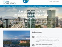 Cluster-consulting.com