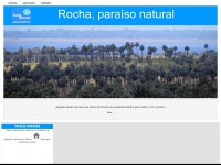 Rochainfo.com