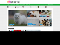 mascotia.com
