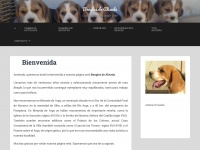 Beaglesdealiseda.com