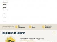 reparaciondecalderas.org.es