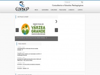 Consep-pi.com.br