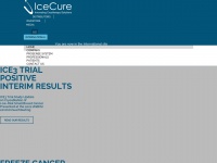 Icecure-medical.com