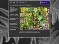 Aphotoflora.com