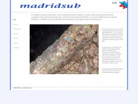 madridsub.com