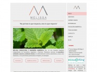 Melissaconsultoria.com