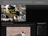 madrid-gull-team.blogspot.com Thumbnail
