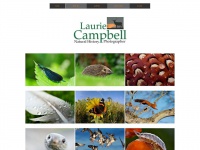 Lauriecampbell.com