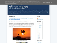 Ethanmeleg.blogspot.com
