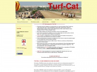 turf-cat.com