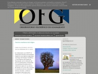 Ofgto.blogspot.com