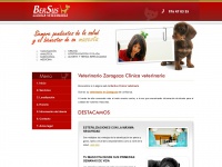 veterinariozaragoza.es