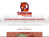 collarum.es