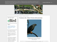 birding-elsalvador.blogspot.com