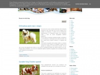 Zooymascotas.blogspot.com