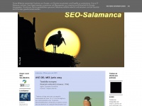 Seo-salamanca.blogspot.com