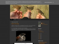 Birdingmarc.blogspot.com