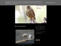 Lapalmabirds.blogspot.com