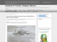tapirmexico.blogspot.com Thumbnail