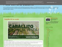 Protocomunacaballito.blogspot.com