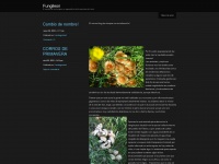 Fungileon.wordpress.com