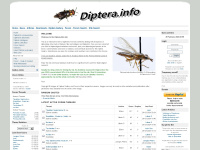 Diptera.info