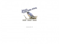 Bird-hybrids.com