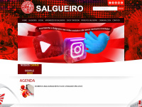 Salgueiro.com.br