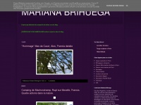 Marianabrihuega.blogspot.com
