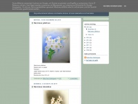 Ilustracion-botanica.blogspot.com