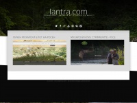 Iantra.com