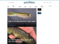 Midcurrent.com