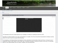 paflyfish.com