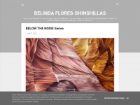 Belindashinshillas.blogspot.com