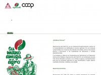 Agrocafe.com.co