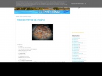 Culinaculinae.blogspot.com