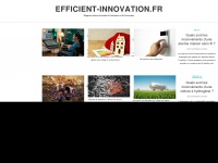 efficient-innovation.fr