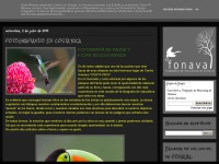 Fonaval.blogspot.com