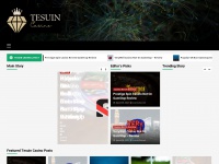 tesuin.com