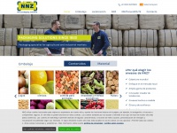 Nnz.com.es