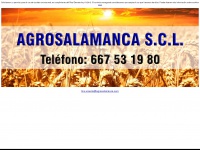agrosalamanca.com Thumbnail