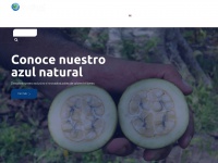 Ecofloracares.com