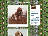 Fyeahbassethounds.tumblr.com