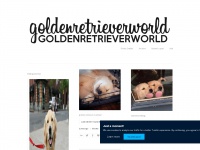 Goldenretrieverworld.tumblr.com