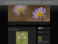florasilvestrechiclanera.blogspot.com Thumbnail