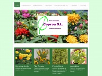 coproa.com Thumbnail