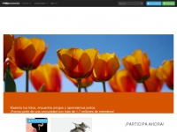 fotocommunity.es