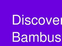 Bambuser.com